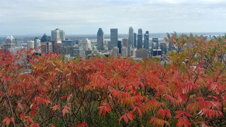 Indian Summer: Montreal bis Quebec © Laurence /adobestock